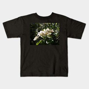 apple blossoms #3 Kids T-Shirt